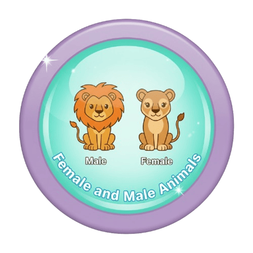 Female And Male Animals